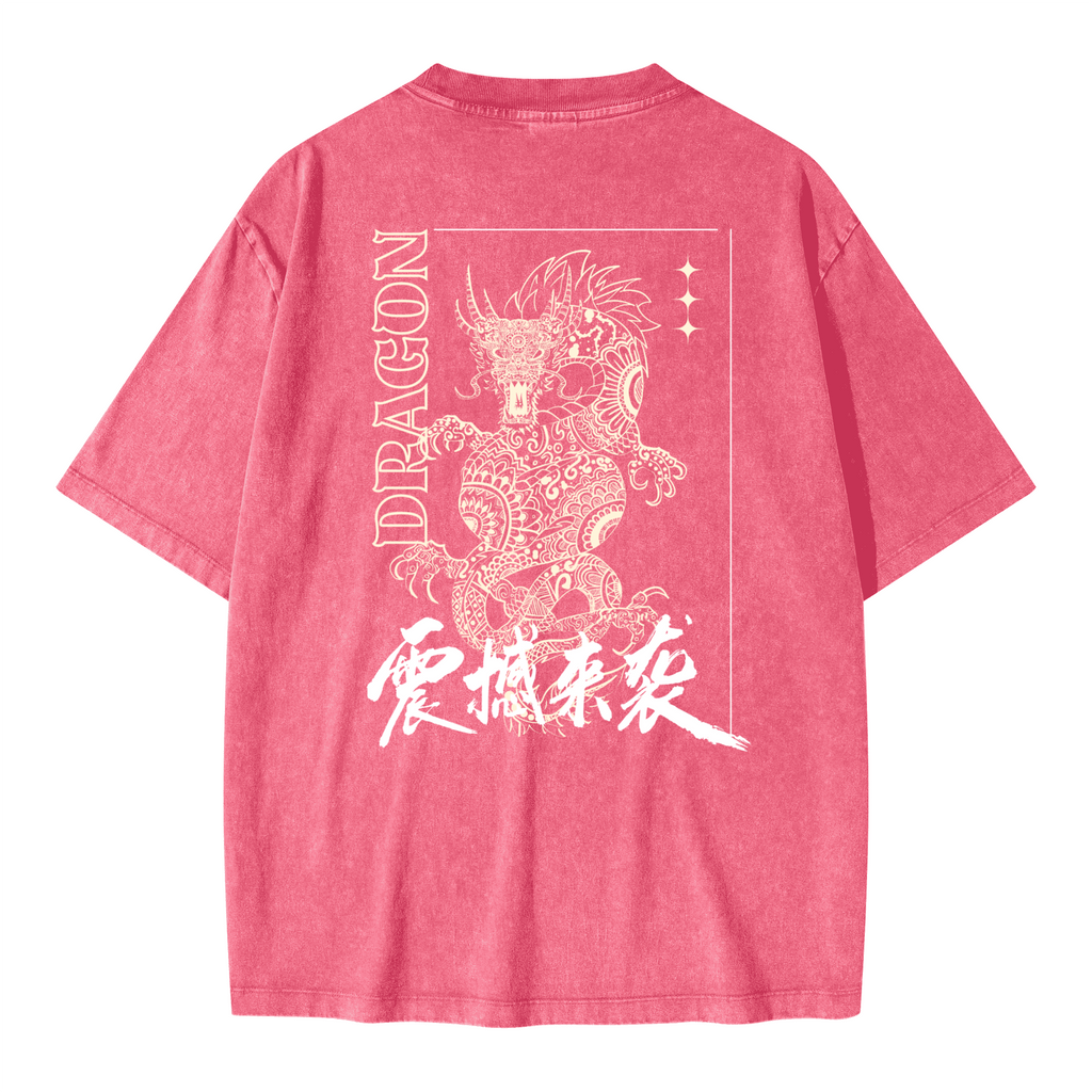 Unisex Oversized Snow Wash T-shirt(285GSM)