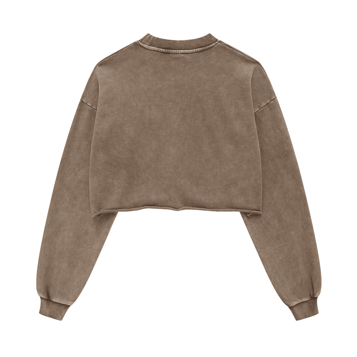 Washed Raw-Edge Cropped Crew Neck Sweatshirt